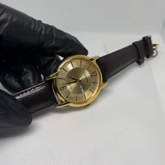 Citizen Men's Watch-TM14