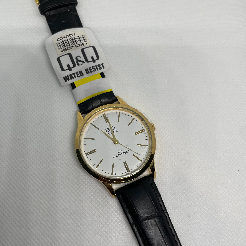 Q&Q Quartz Men's watch-TM89