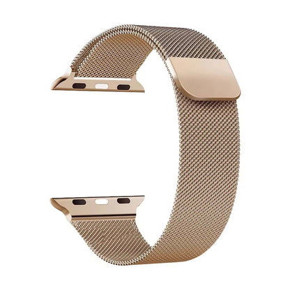 Milanese Loop 42/44/45/46/49mm